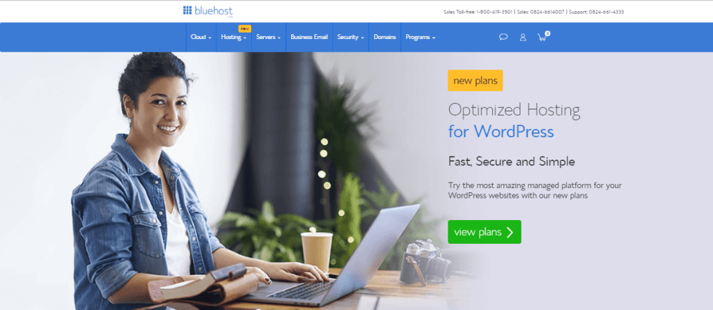 bluehost-wordpress-optimized-hosting